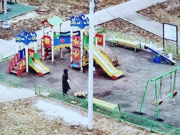 Жители Наро-Фоминска жалуются на выгул собак у детских площадок